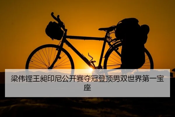 梁伟铿王昶印尼公开赛夺冠登顶男双世界第一宝座